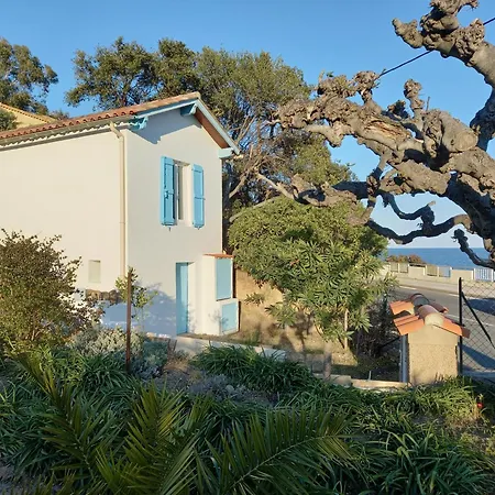 Maison Indivi 4-6 Pers Face A La Grand Jardin Ideal Famille Avec Animaux Saint Clair 別荘