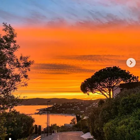 Maison Indivi 4-6 Pers Face A La Grand Jardin Ideal Famille Avec Animaux Saint Clair Le Lavandou