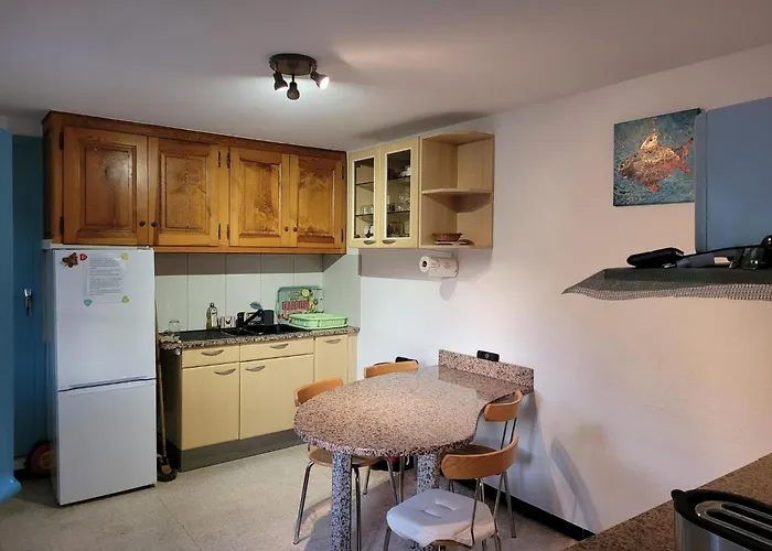 Casa de Férias Maison Indivi 4-6 Pers Face A La Grand Jardin Ideal Famille Avec Animaux Saint Clair *