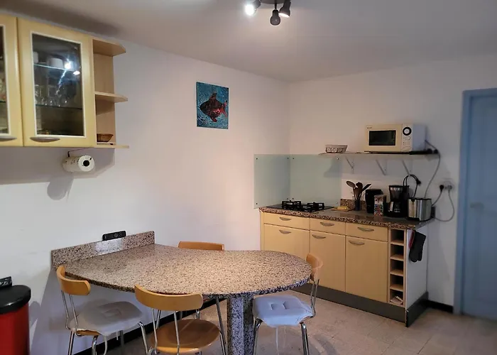 Maison Indivi 4-6 Pers Face A La Grand Jardin Ideal Famille Avec Animaux Saint Clair ル・ラヴァンドゥー