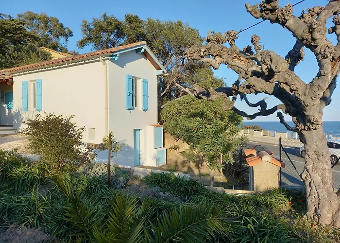 Maison Indivi 4-6 Pers Face A La Grand Jardin Ideal Famille Avec Animaux Saint Clair Casa de Férias