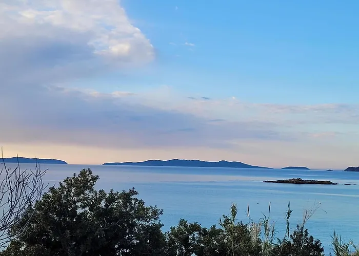 Maison Indivi 4-6 Pers Face A La Grand Jardin Ideal Famille Avec Animaux Saint Clair 別荘 *