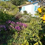 Holiday home Maison Indivi 4-6 Pers Face A La Grand Jardin Ideal Famille Avec Animaux Saint Clair Le Lavandou