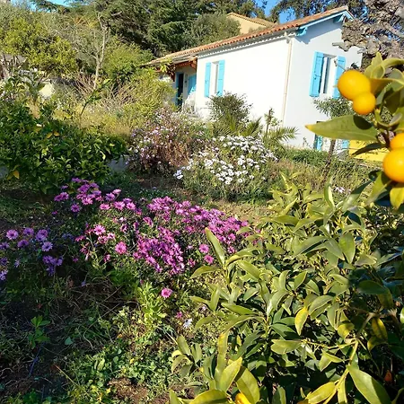 Feriehus Maison Indivi 4-6 Pers Face A La Grand Jardin Ideal Famille Avec Animaux Saint Clair Le Lavandou