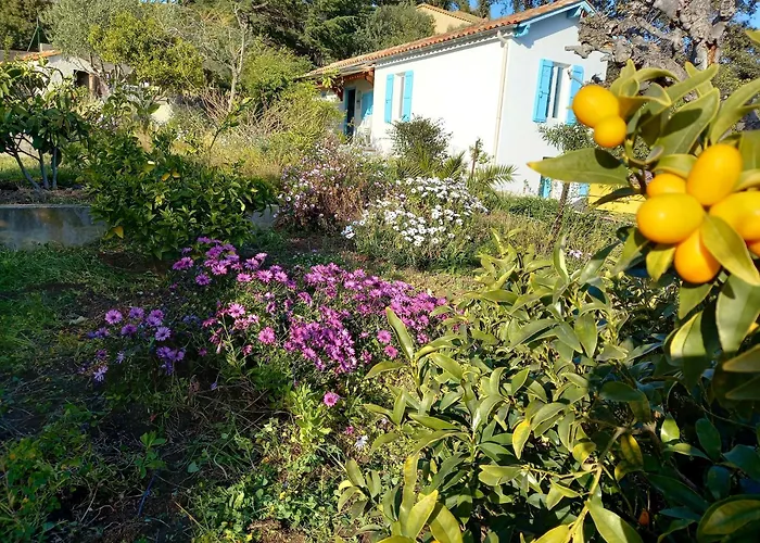 Semesterbostad Maison Indivi 4-6 Pers Face A La Grand Jardin Ideal Famille Avec Animaux Saint Clair Le Lavandou