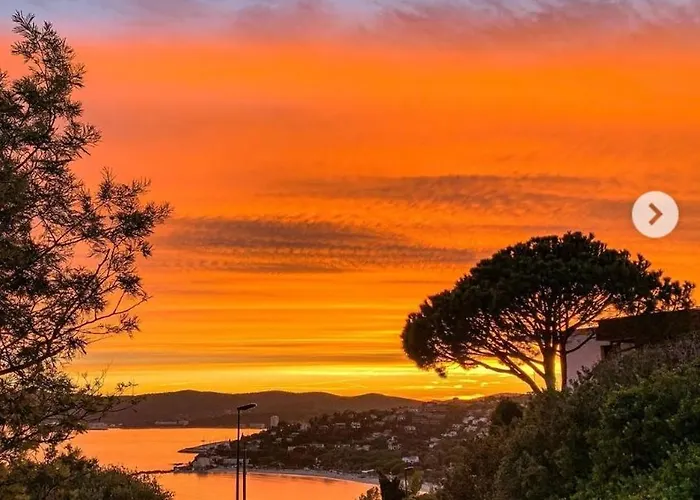 Maison Indivi 4-6 Pers Face A La Grand Jardin Ideal Famille Avec Animaux Saint Clair Le Lavandou