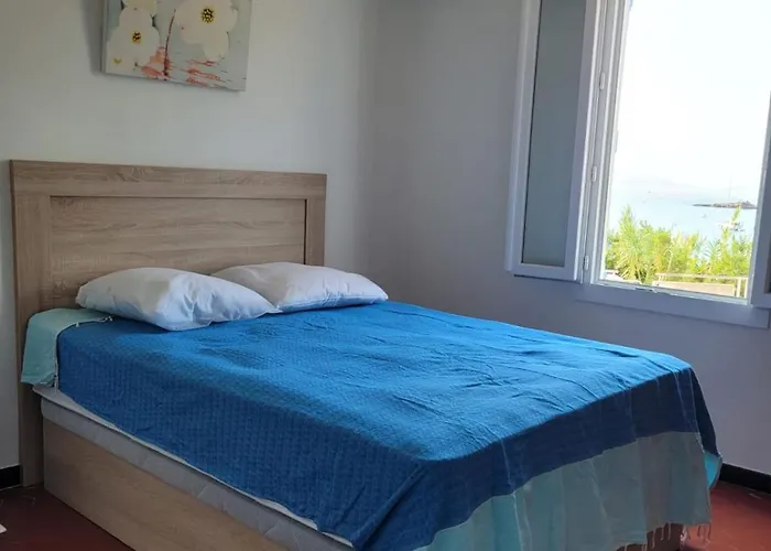 Maison Indivi 4-6 Pers Face A La Grand Jardin Ideal Famille Avec Animaux Saint Clair